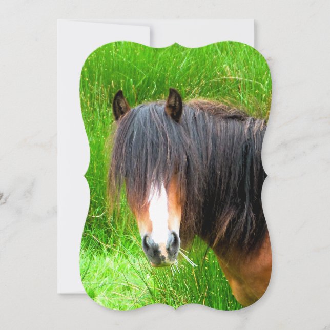 HORSE Invitations (Front)