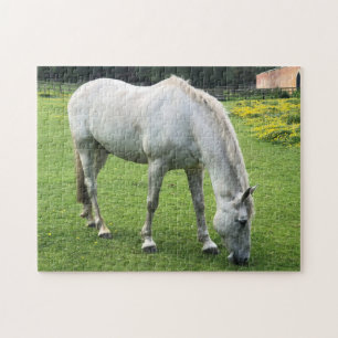 Horse Jigsaw - A White Horse Grazing in a Field Puzzle