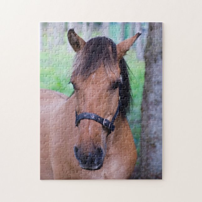 Horse Jigsaw puzzle (Vertical)