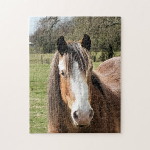 HORSE JIGSAW PUZZLE