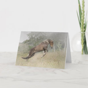 Horse Jumping Card