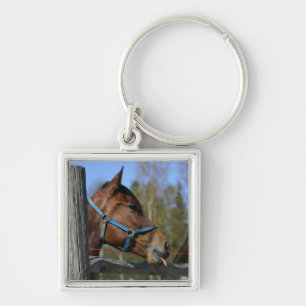 Horse key chain