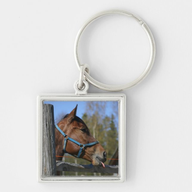 Horse key chain (Front)