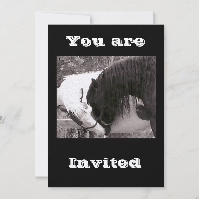 horse kiss Invitations (Front)