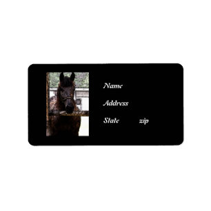Horse Label