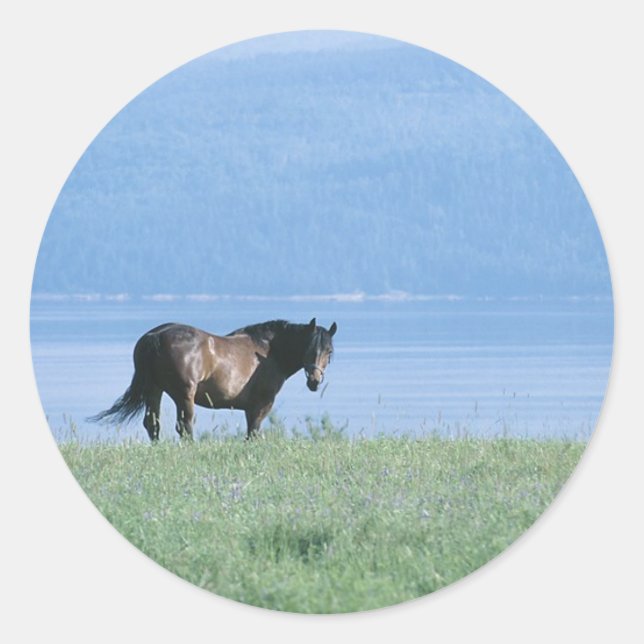 Horse, Lake, and Mountain Scene Classic Round Sticker (Front)