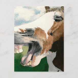 Horse Laugh Postcard