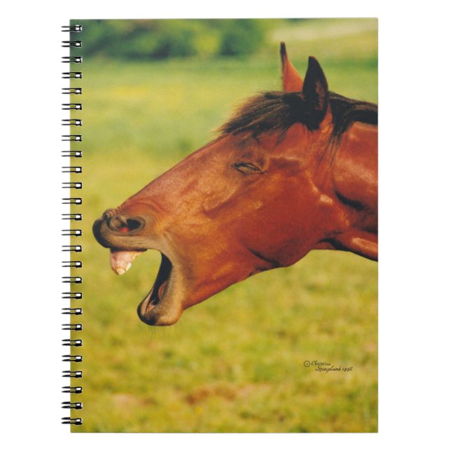 Horse laughing Notebook (Front)