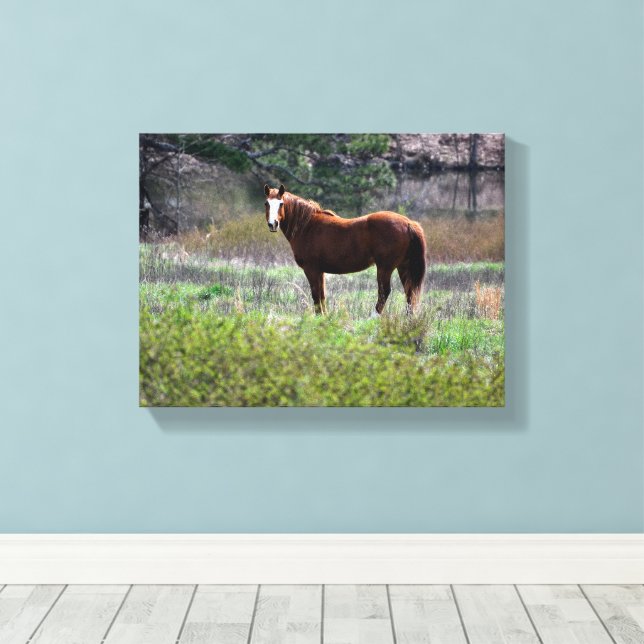 Horse looking back canvas print (Insitu(Wood Floor))
