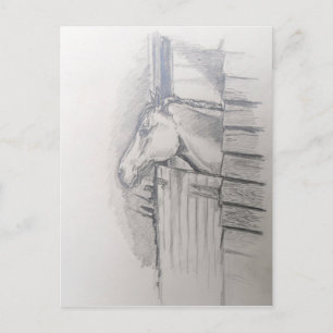 Horse looking over the stable door postcard