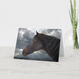 Horse Loss Sympathy Card