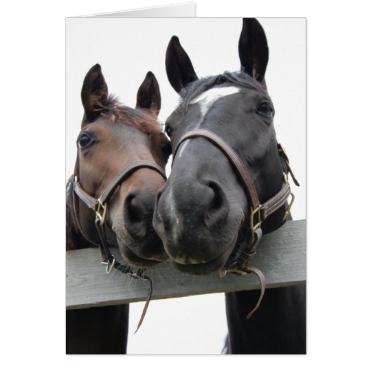 Horse-Love-1 Card