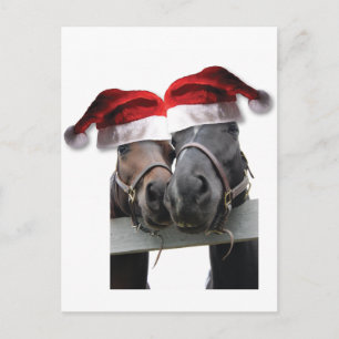 Horse Love and Merry Christmas Holiday Postcard