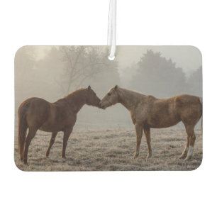 Horse Love Car Air Freshener