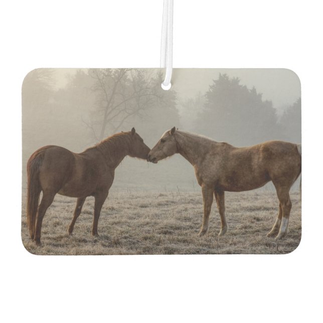 Horse Love Car Air Freshener (Back)