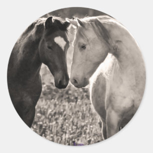 Horse Love Classic Round Sticker