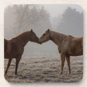 Horse Love Coaster