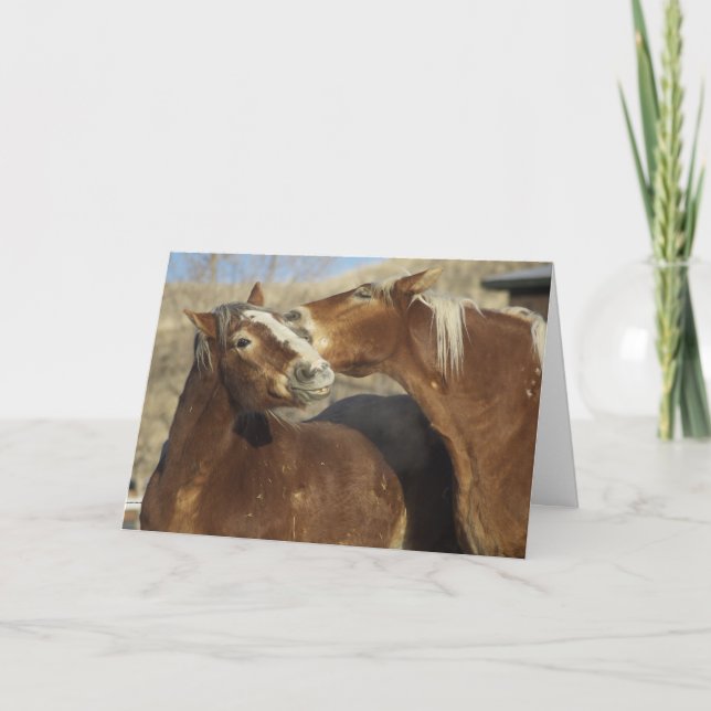 Horse Love Holiday Card (Front)