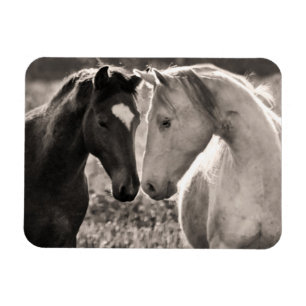Horse Love Magnet