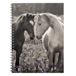 Horse Love Notebook