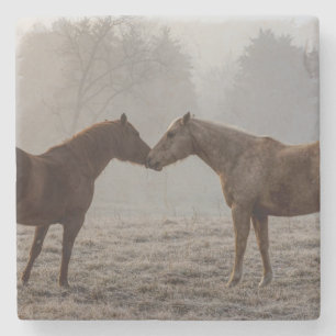Horse Love Stone Coaster