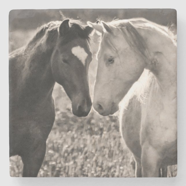 Horse Love Stone Coaster (Front)