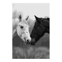 Horse Lover Friends Photographic Art Poster