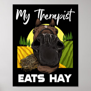 Horse Lover Horseback Riding Hay Horse Rider  Poster