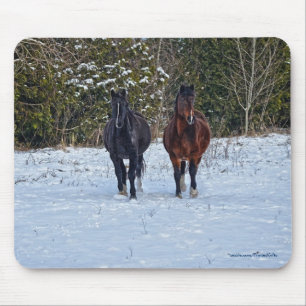 Horse-lover's Beautiful Equine Animal Design Mouse Mat
