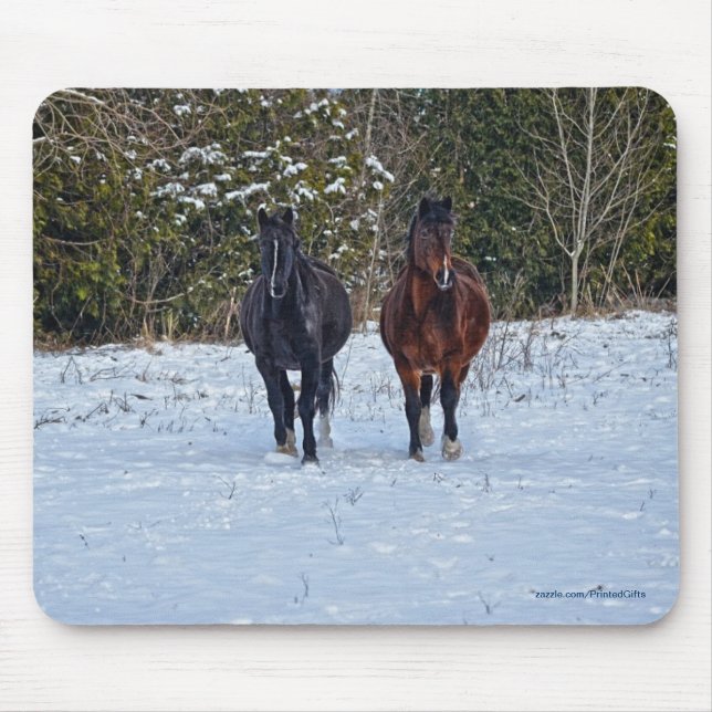 Horse-lover's Beautiful Equine Animal Design Mouse Mat (Front)