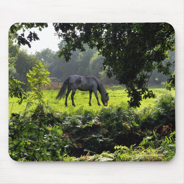 Horse-lover's Beautiful Equine Animal Design Mouse Mat (Front)
