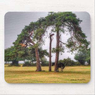 Horse-lover's Beautiful Equine Animal Design Mouse Mat