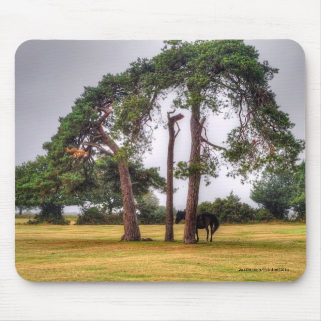 Horse-lover's Beautiful Equine Animal Design Mouse Mat (Front)