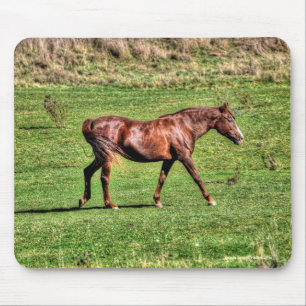 Horse-lover's Beautiful Equine Animal Design Mouse Mat