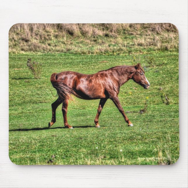 Horse-lover's Beautiful Equine Animal Design Mouse Mat (Front)