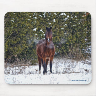 Horse-lover's Beautiful Equine Animal Design Mouse Mat