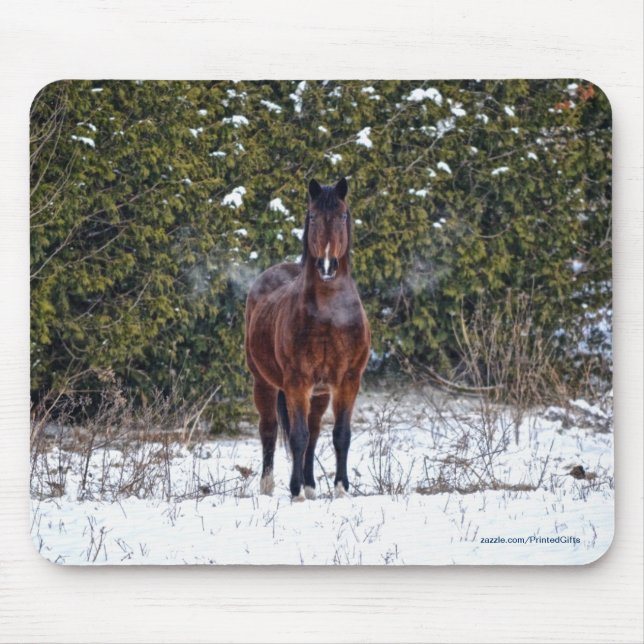 Horse-lover's Beautiful Equine Animal Design Mouse Mat (Front)