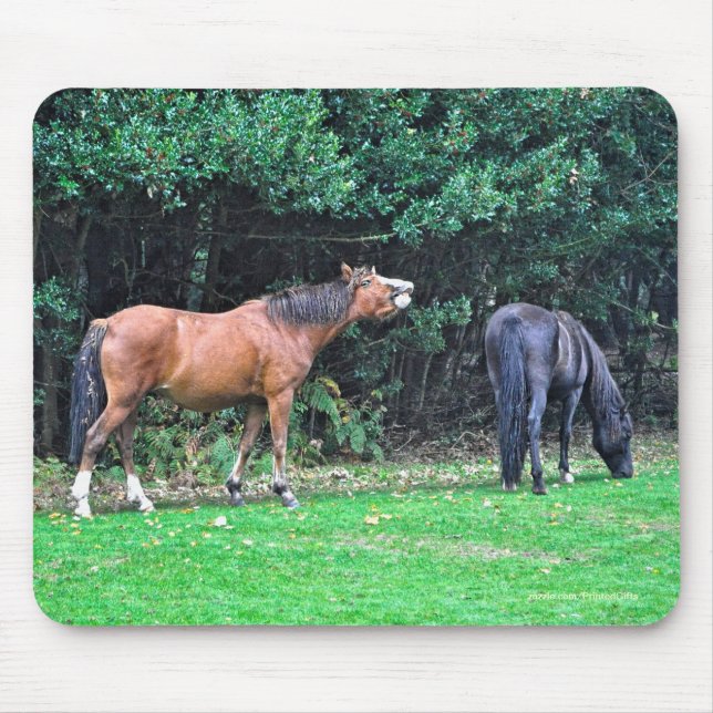 Horse-lover's Beautiful Equine Animal Design Mouse Mat (Front)