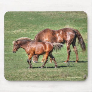 Horse-lover's Beautiful Equine Animal Design Mouse Mat