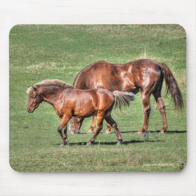 Horse-lover's Beautiful Equine Animal Design Mouse Mat (Front)