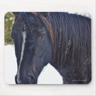 Horse-lover's Beautiful Equine Animal Design Mouse Mat