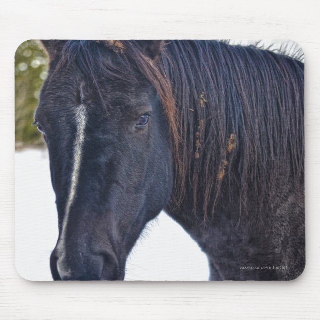 Horse-lover's Beautiful Equine Animal Design Mouse Mat (Front)