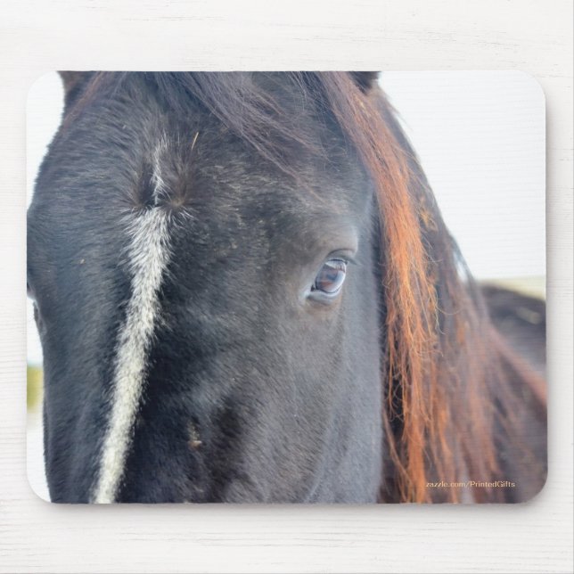 Horse-lover's Beautiful Equine Animal Design Mouse Mat (Front)