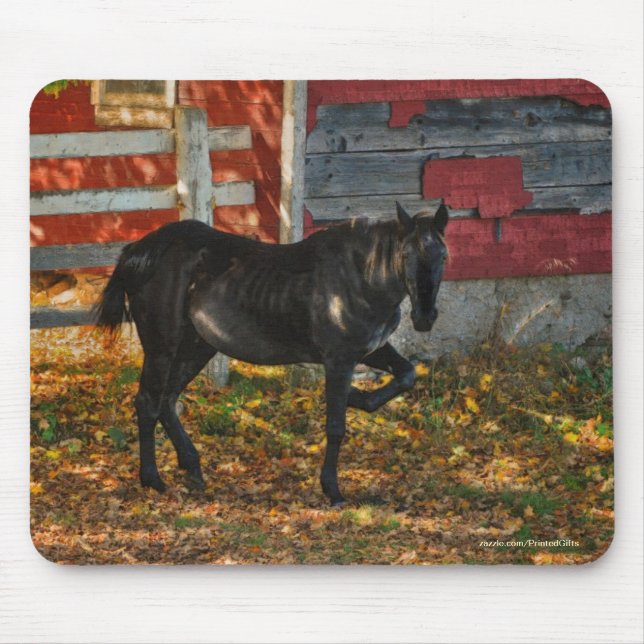 Horse-lover's Beautiful Equine Animal Design Mouse Mat (Front)