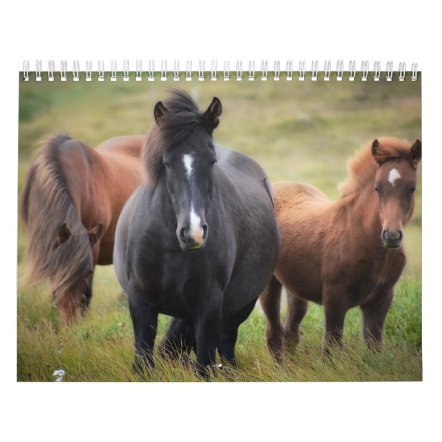 Horse Lovers Calendar (Cover)