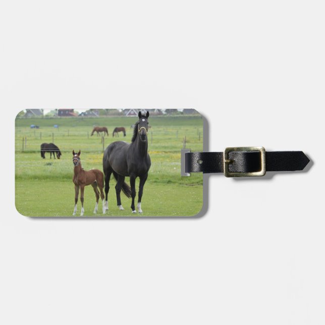 Horse Lover's custom luggage tag (Front Horizontal)