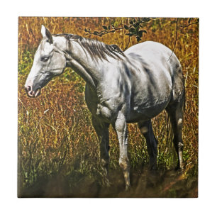 Horse-lover's Equine Animal Design Tile