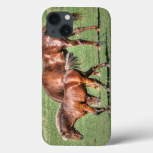 Horse-lover's Equine Animal-lover's Gift iPhone 13 Case
