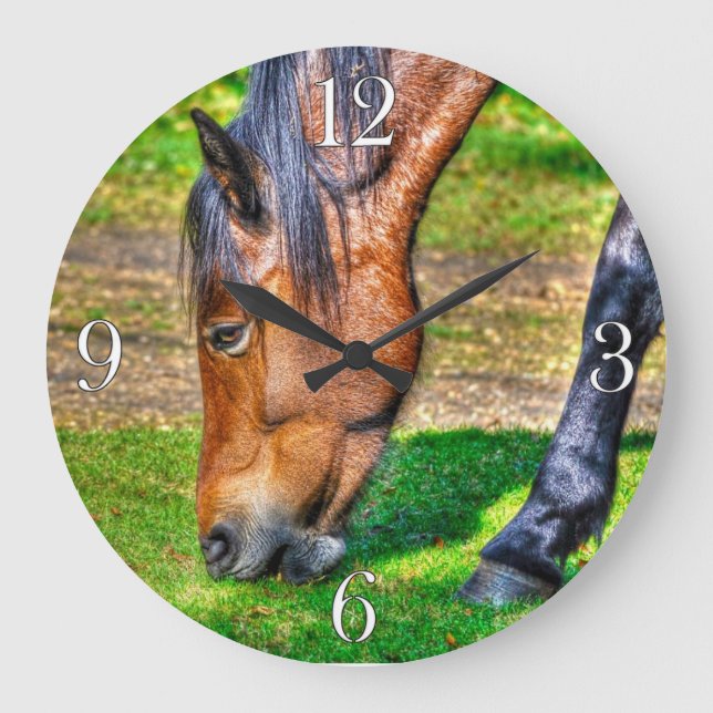 Horse-lover's Equine Animal-lover's Gift Large Clock (Front)