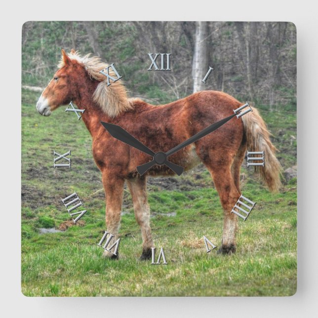 Horse-lover's Equine Animal-lover's Gift Square Wall Clock
